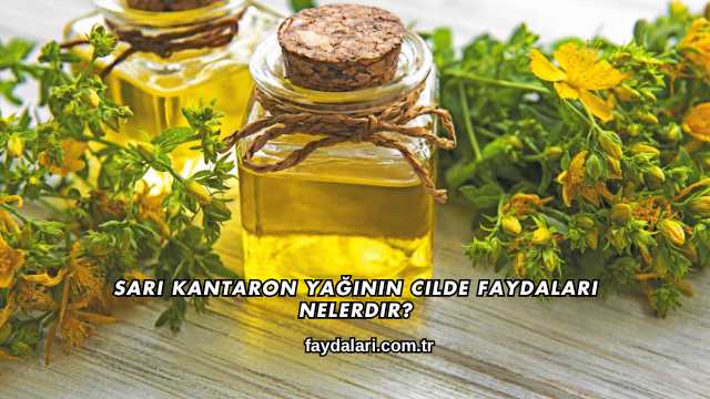 Sarı Kantaron Yağının Cilde Faydaları Nelerdir?
