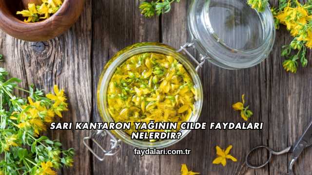 Sarı Kantaron Yağının Cilde Faydaları Nelerdir?