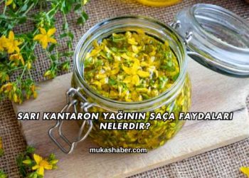 Sarı Kantaron Yağının Saça Faydaları Nelerdir?