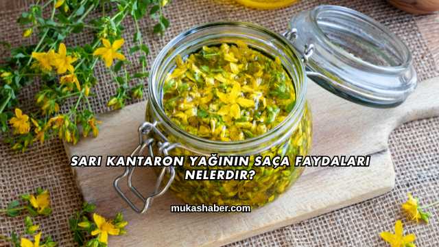 Sarı Kantaron Yağının Saça Faydaları Nelerdir?