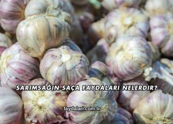 Sarımsağın Saça Faydaları Nelerdir?