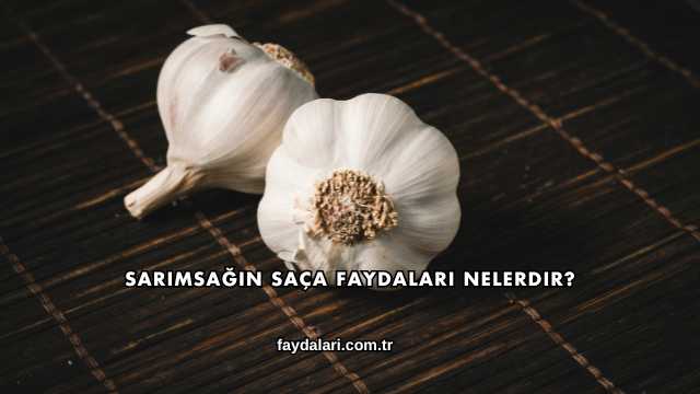 Sarımsağın Saça Faydaları Nelerdir?