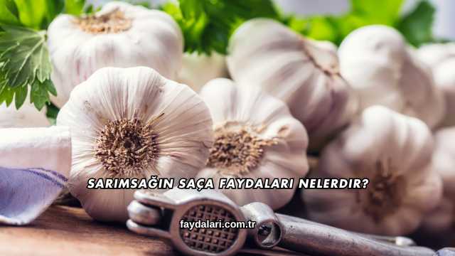 Sarımsağın Saça Faydaları Nelerdir?