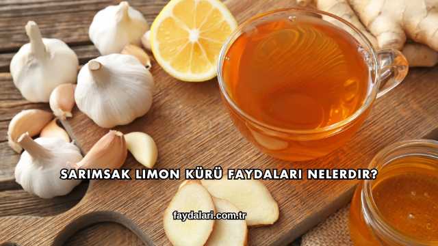 Sarımsak Limon Kürü Faydaları Nelerdir?