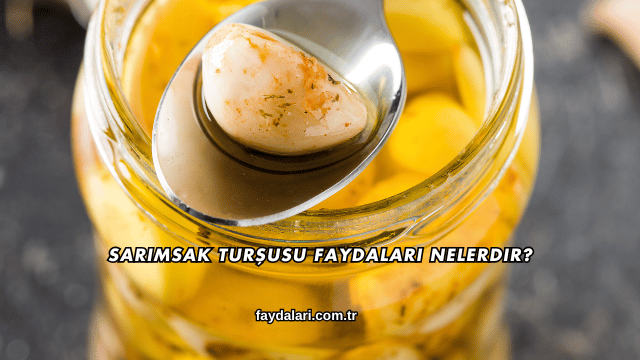 Sarımsak Turşusu Faydaları Nelerdir?