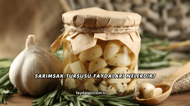 Sarımsak Turşusu Faydaları Nelerdir?