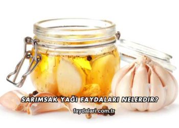 Sarımsak Yağı Faydaları Nelerdir