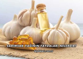 Sarımsak Yağının Faydaları Nelerdir?