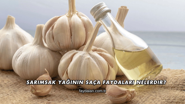 Sarımsak Yağının Saça Faydaları Nelerdir?