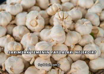 Sarımsak Yemenin Faydaları Nelerdir?