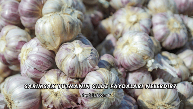 Sarımsak Yutmanın Cilde Faydaları Nelerdir?