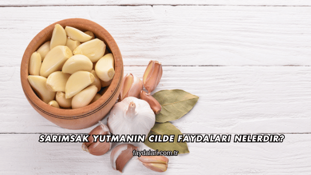 Sarımsak Yutmanın Cilde Faydaları Nelerdir?