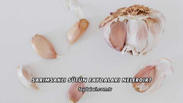 Sarımsaklı Sütün Faydaları Nelerdir?
