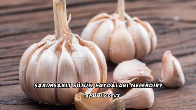 Sarımsaklı Sütün Faydaları Nelerdir?