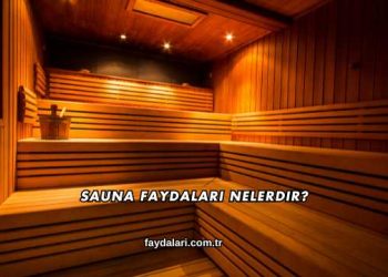 Sauna Faydaları Nelerdir?