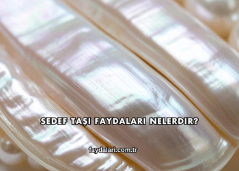 Sedef Taşı Faydaları Nelerdir?