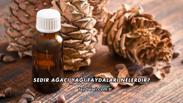 Sedir Ağacı Yağı Faydaları Nelerdir?
