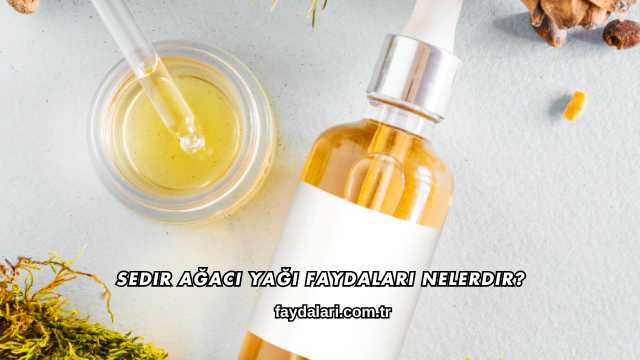 Sedir Ağacı Yağı Faydaları Nelerdir?