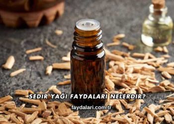 Sedir Yağı Faydaları Nelerdir?