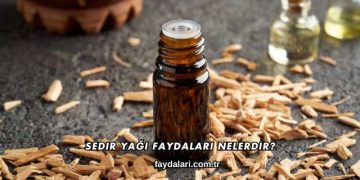 Sedir Yağı Faydaları Nelerdir?