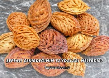 Şeftali Çekirdeğinin Faydaları Nelerdir?