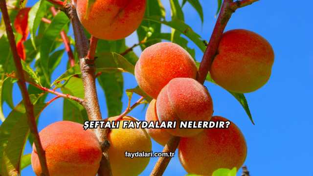 Şeftali Faydaları Nelerdir?