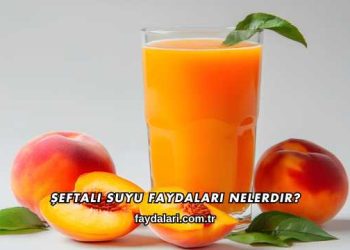 Şeftali Suyu Faydaları Nelerdir?