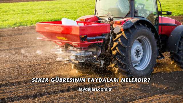 Şeker Gübresinin Faydaları Nelerdir?