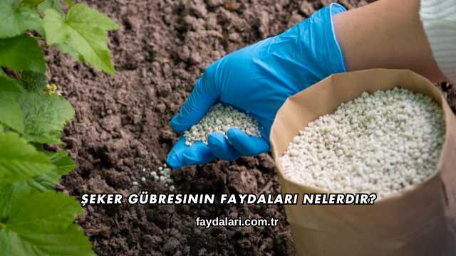 Şeker Gübresinin Faydaları Nelerdir?