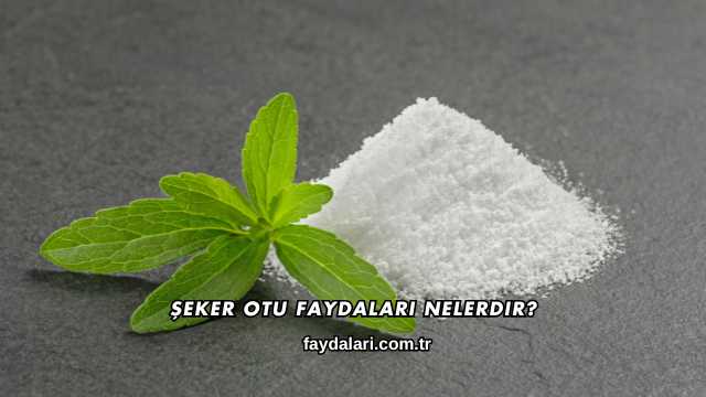 Şeker Otu Faydaları Nelerdir?