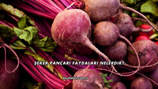 Şeker Pancarı Faydaları Nelerdir?