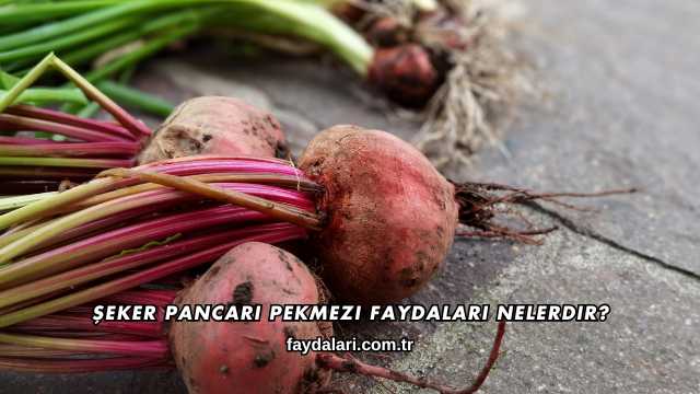 Şeker Pancarı Pekmezi Faydaları Nelerdir?