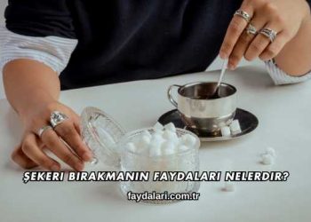 Şekeri Bırakmanın Faydaları Nelerdir?