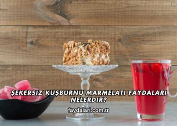 Şekersiz Kuşburnu Marmelatı Faydaları Nelerdir?