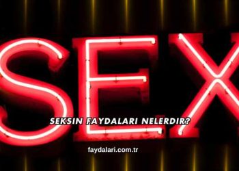 Seksin Faydaları Nelerdir?