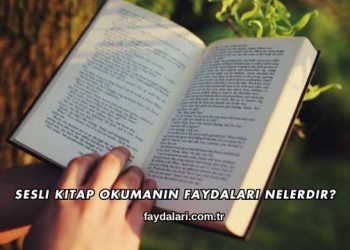 Sesli Kitap Okumanın Faydaları Nelerdir?