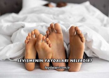 Sevişmenin Faydaları Nelerdir?