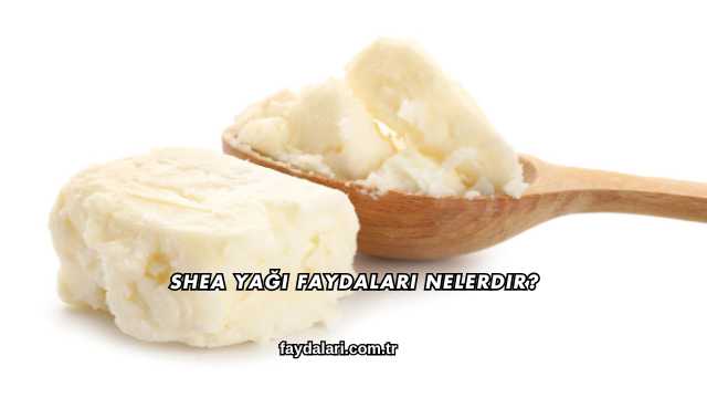 Shea Yağı Faydaları Nelerdir?
