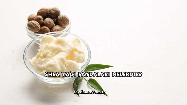 Shea Yağı Faydaları Nelerdir?