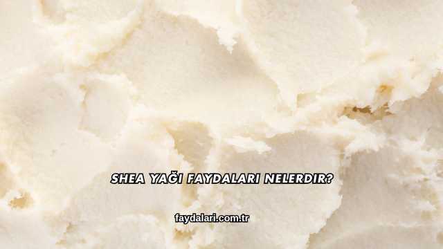 Shea Yağı Faydaları Nelerdir?