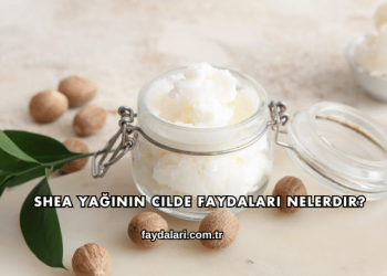 Shea Yağının Cilde Faydaları Nelerdir?