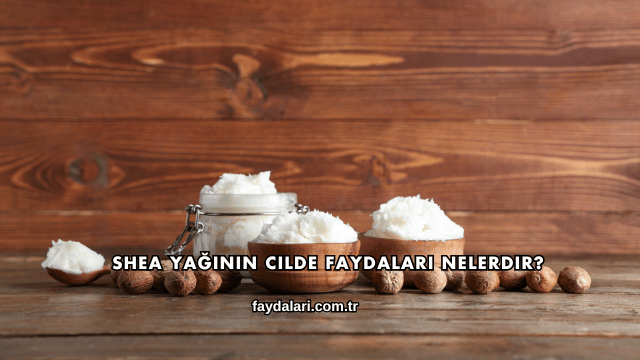 Shea Yağının Cilde Faydaları Nelerdir?
