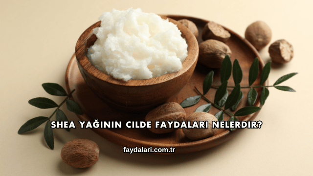 Shea Yağının Cilde Faydaları Nelerdir?