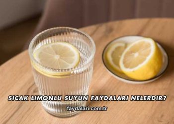 Sıcak Limonlu Suyun Faydaları Nelerdir?