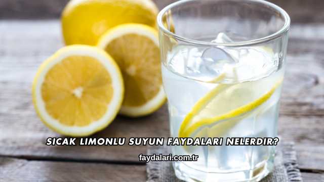 Sıcak Limonlu Suyun Faydaları Nelerdir?