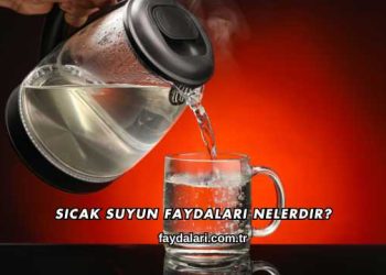 Sıcak Suyun Faydaları Nelerdir?