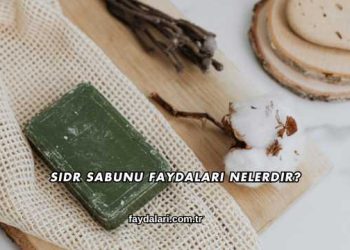 Sidr Sabunu Faydaları Nelerdir?
