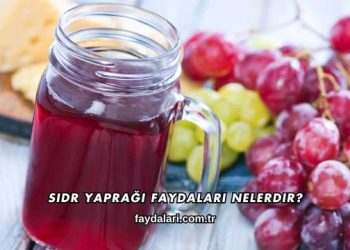 Sidr Yaprağı Faydaları Nelerdir?