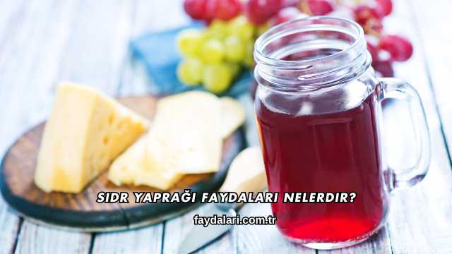 Sidr Yaprağı Faydaları Nelerdir?