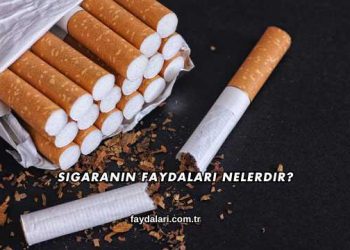 Sigaranın Faydaları Nelerdir?
